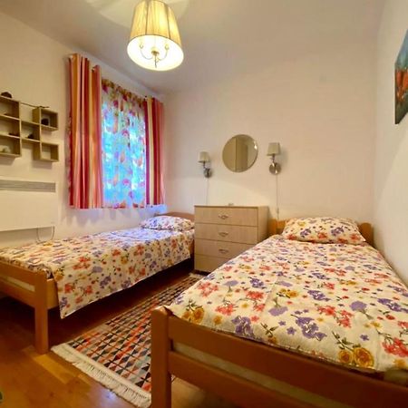 Apartment Liza Petrovac Екстериор снимка