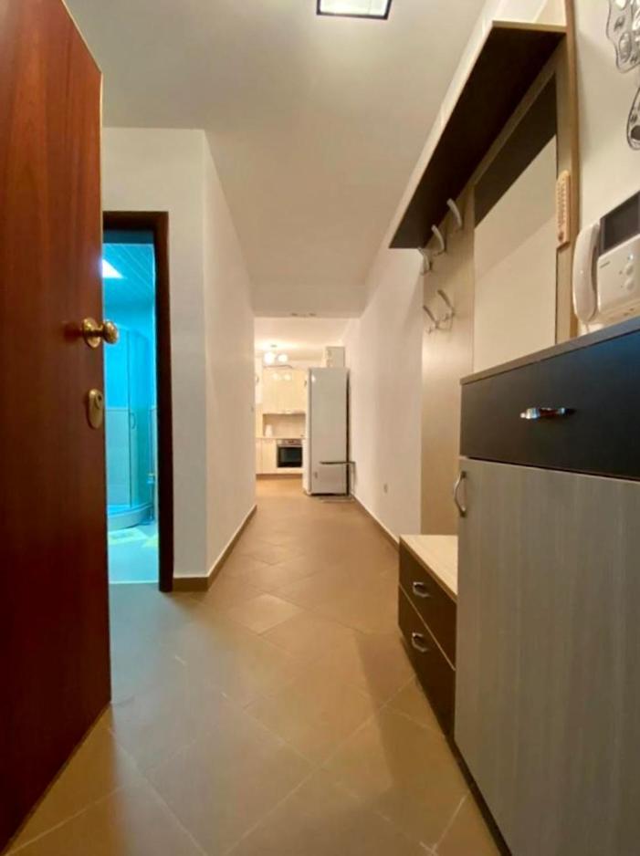 Apartment Liza Petrovac Екстериор снимка