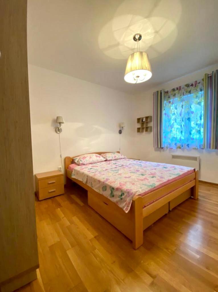 Apartment Liza Petrovac Екстериор снимка
