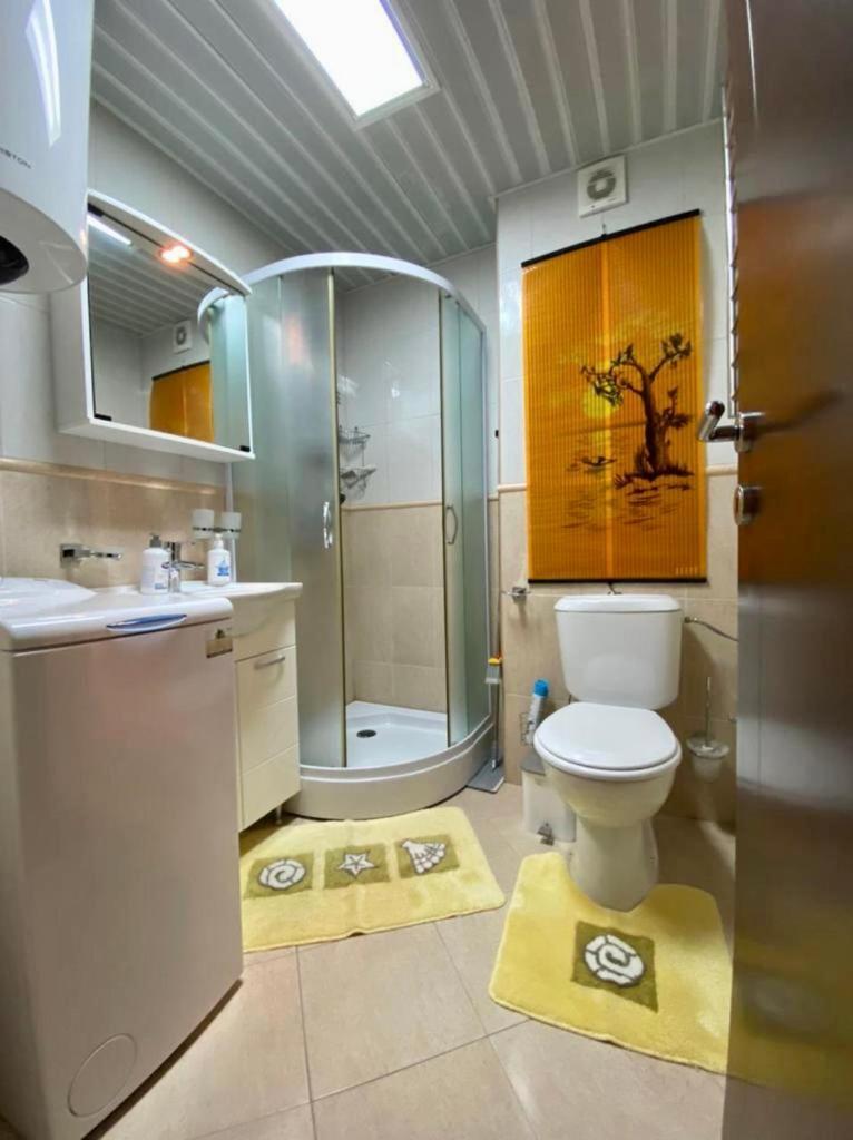 Apartment Liza Petrovac Екстериор снимка