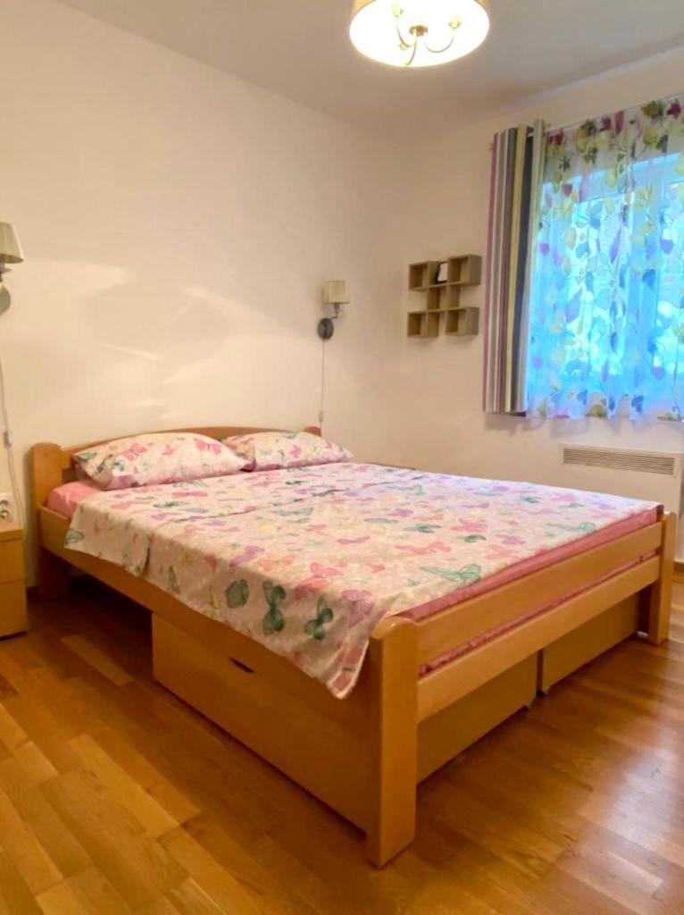Apartment Liza Petrovac Екстериор снимка